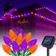 thumbnail image 1 of Guirnalda de luces solares IticDecor, 9,5 m, 50 LED, naranja y morado, 1 of 7