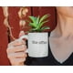thumbnail image 3 of Planta decorativa artificial con vegetación artificial Silver Buffalo, 3 of 6