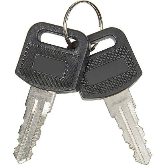 Replacement Keys for Global Industrial Charging Cabinets/Carts 985748 251761 987