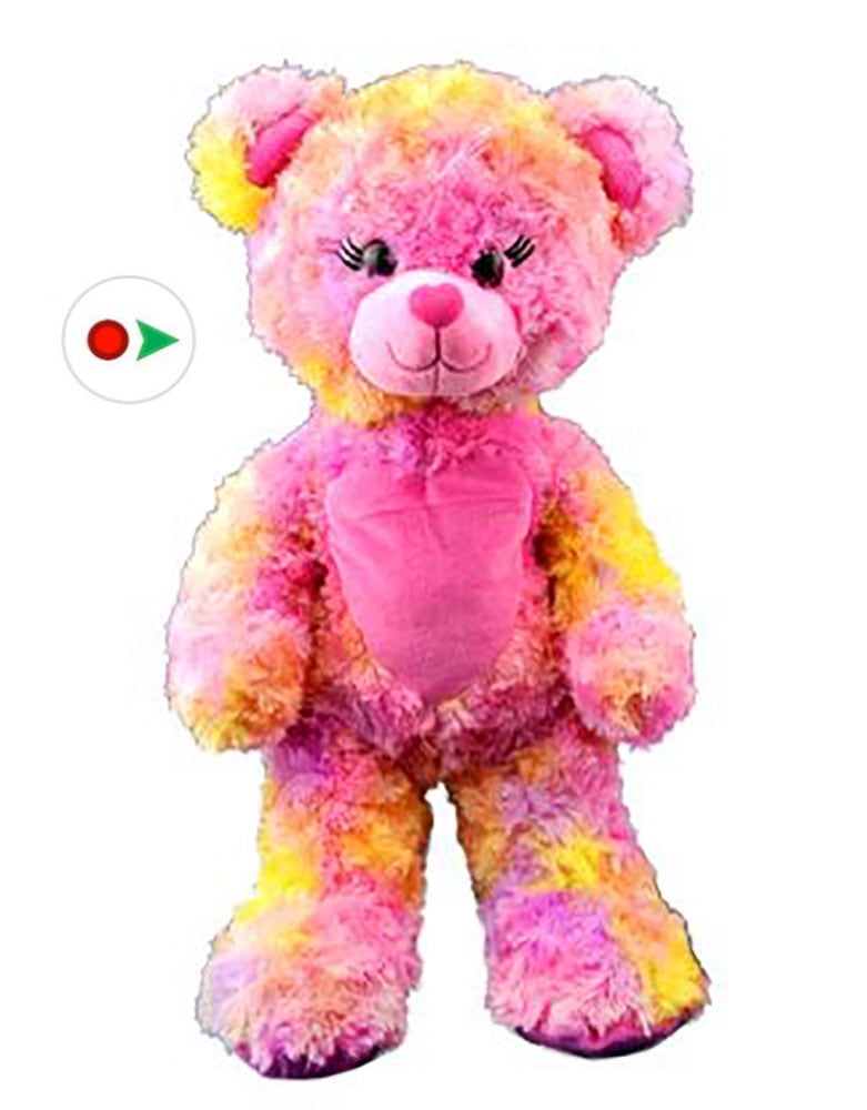 teddy bear that you can record on