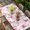 Pink LightPink, variant on Pink Roses Table Cloths for 8 Foot Rectangle Tables, Valentine's Day Love Flowers Beige Rustic Patio Waterproof Elastic Fitted Tablecloths, Washable Rectangular Table Cover for Camping