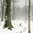thumbnail image 6 of 24pcs Watercolor Winter Forest Scrapbook Papers - Snowy Scenes with Cabins & Wildlife Scrapbook Decoration,  Decorative Washi Sticker Material Paper,, 6 of 8