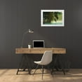 thumbnail image 3 of Van Dongen, Anton 18x13 White Modern Wood Framed Museum Art Print Titled - Dutch Fen, 3 of 4