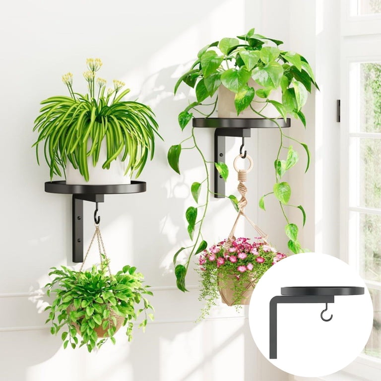 hanging plant bracket Natural Branch Hanging Planter – Knotty Traditions main image 1