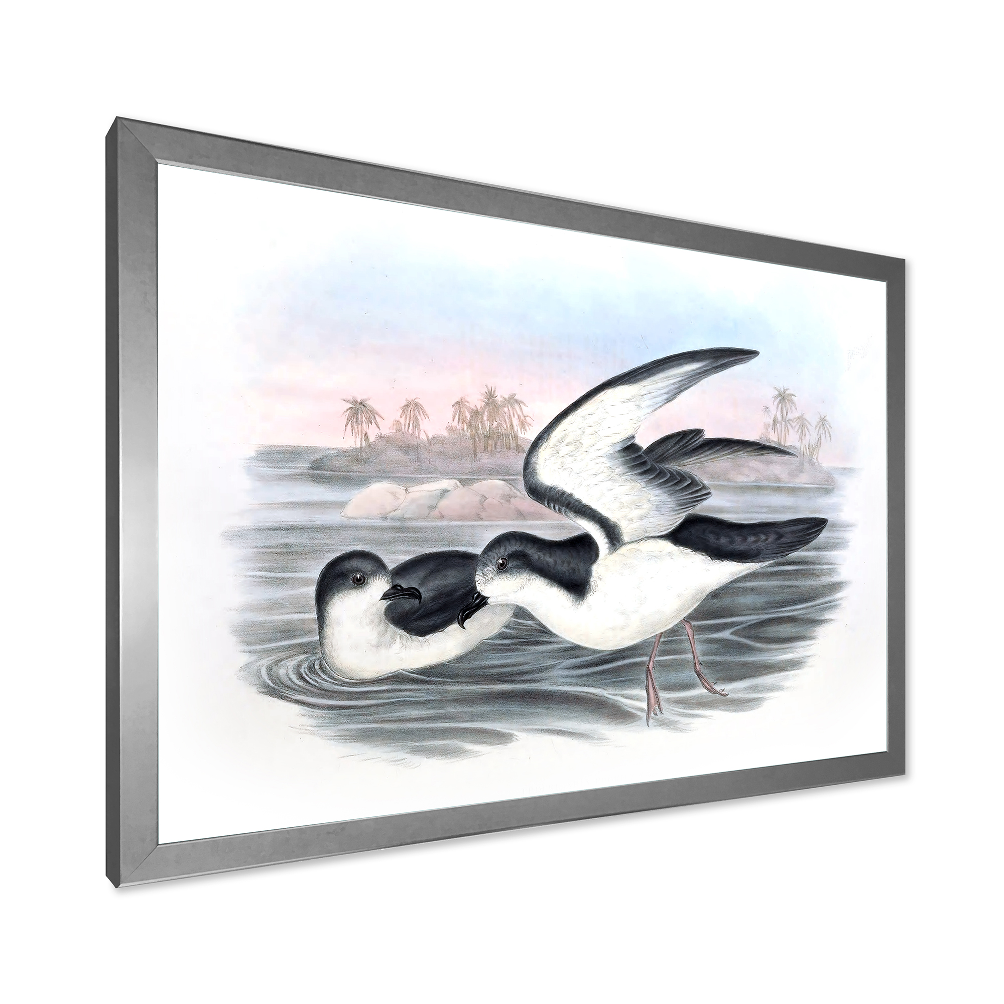 Designart 'Ancient Australian Birds X' Traditional Framed Art Print