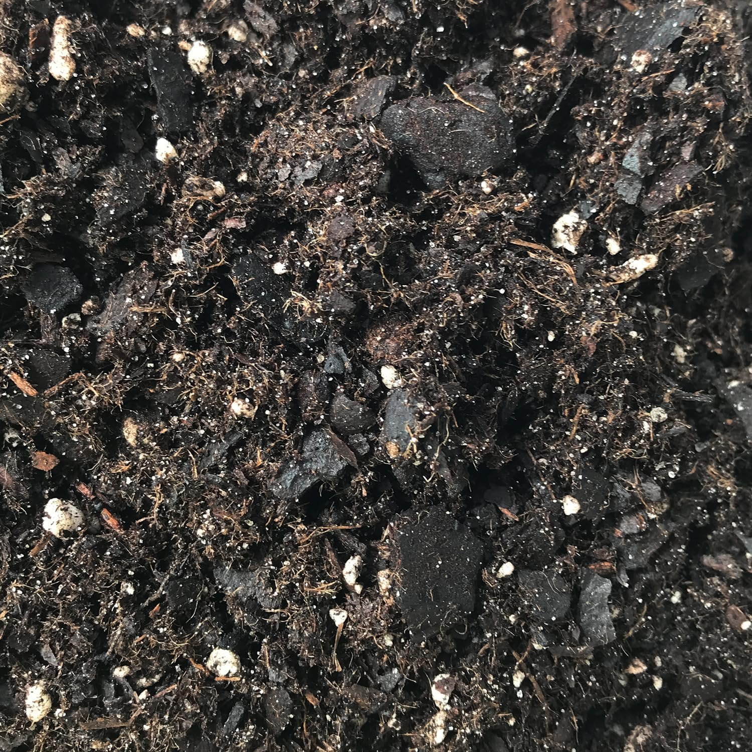 Syngonium Growing Soil Mix  5 Quarts - Custom Soil Blend  Potting Mix for Syngonium Plants  Specially Developed by and for Professional Nursery Growers - Nutrient-Rich Formula