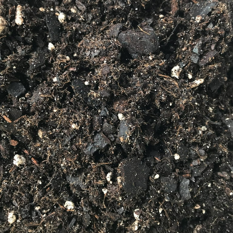 Monstera Growing Soil Mix  1 Quart - Custom Soil Blend  Potting Mix for Monstera Plants  Specially Developed by and for Professional Nursery Growers - Nutrient-Rich Formula