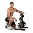 thumbnail image 3 of Weider Standard Weight Plate Storage Rack with Durable Steel Frame, 3 of 3