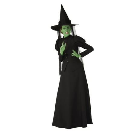 Witch Adult Womens Costume - Wicked Witch Elite Adult Costume