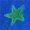 STAR FISH, BLUE, variant on HAPPY BAY Women's Wraps Summer Long Pareos Vacation Skirt Bathing Suit Cover-Up Beach Dress Bikini Sarong Swimwear for Women One Size Star Fish, Blue