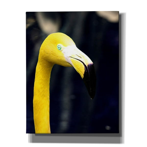 Epic Graffiti 'Yellow Flamingo' by Dana Brett Munach, Canvas Wall Art, 26"x34"