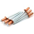 thumbnail image 1 of HJ Garden 25pcs 4x8mm Copper Blind Pop Rivet Round Dome Head Open End Decorating Fastener Nails Pop Rivets, 1 of 3