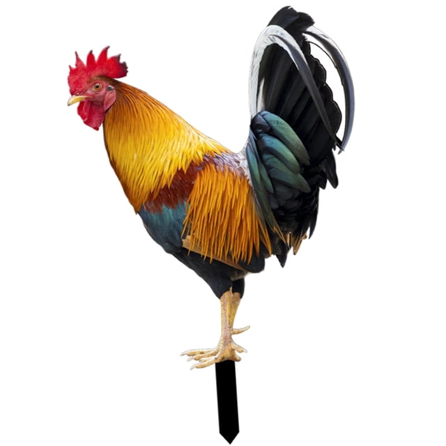 relayinert Statue de Poulet Animal Piquets Acrylique Réaliste AB Patio pour Déco Cour Style Style B