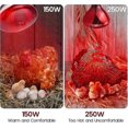 thumbnail image 5 of 220V 100 - 275 Watts E27 Infrared Red Heat Lamp for Chickens, Brooder Coop, Chicks, Pet Reptiles, 5 of 5