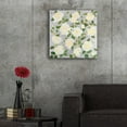 thumbnail image 5 of Epic Art 'White Roses- Square' by Carissa Luminess, Acrylic Glass Wall Art, 24"x24", 5 of 8