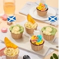 thumbnail image 5 of Country Flag Toothpicks | Cake and Burger Decorative Sticks | Flags for Themed Meals, 5 of 5