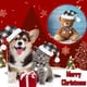 thumbnail image 4 of Ropa de regalo de Navidad para hámster, chinchilla, hurón, lagarto, 4 of 5