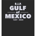 thumbnail image 5 of RIP Gulf of Mexico 1607-2025 Youth Black Long Sleee Hoodie-Medium, 5 of 6