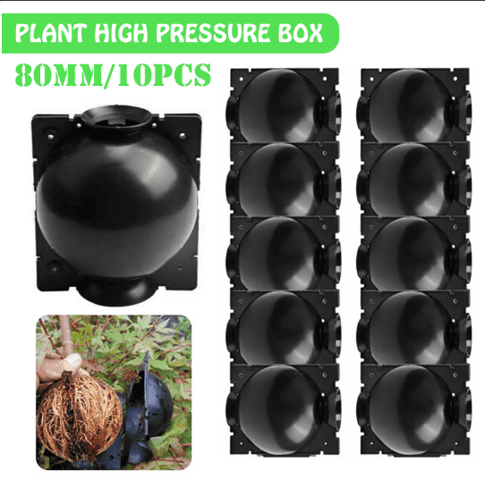10 Pcs/Plant Growing Grafting Rooting Devices Box High Pressure Propagation Ball 