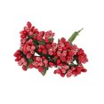 thumbnail image 1 of Advancent Craft Mixed Red Artificial Flower Cherry Stamen Berries Bundle DIY Christmas Wedding Cake Caja de regalo Decoración Flores artificiales Tipo23 12 piezas Advancent HA002022-23, 1 of 1