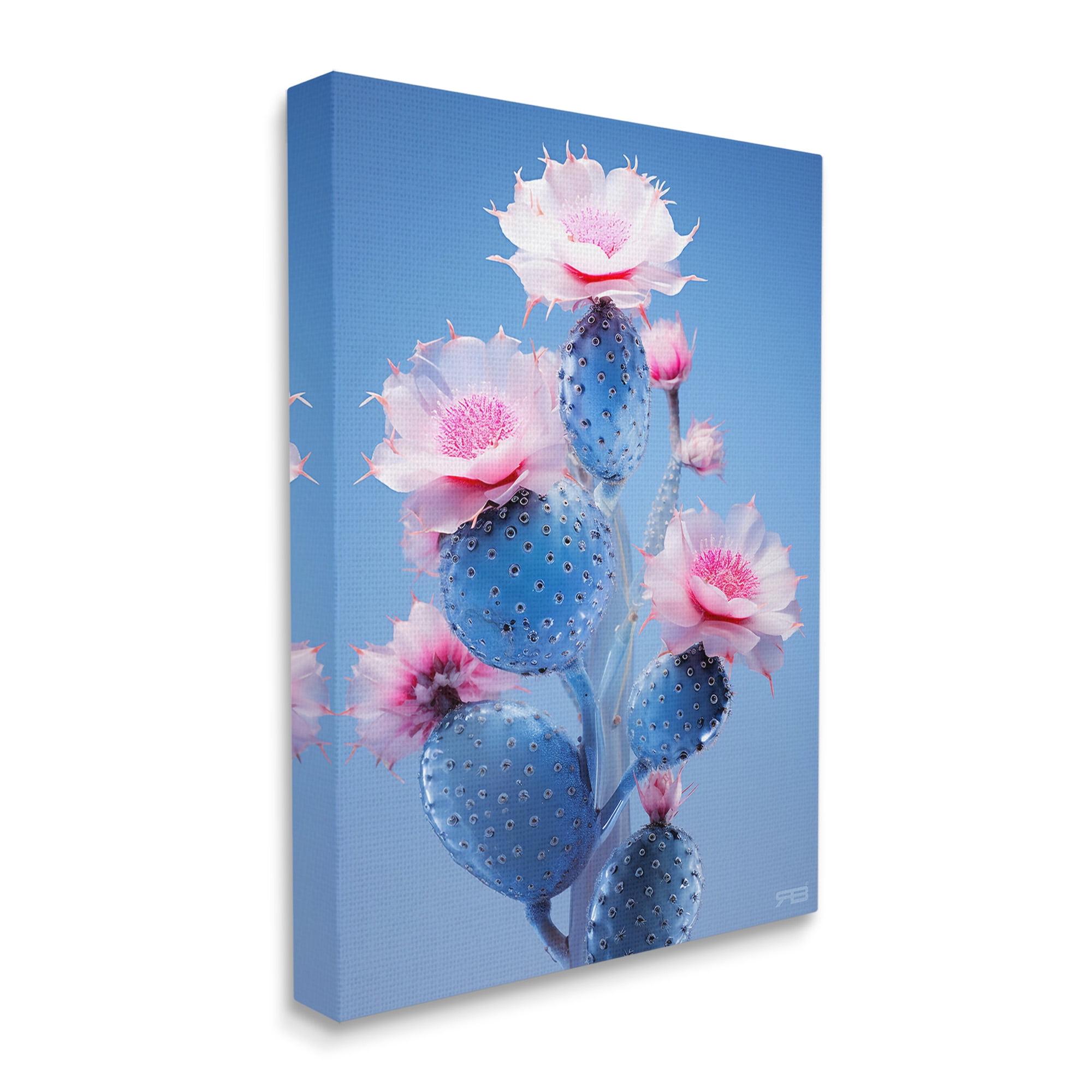 Stupell Industries Prickly Cactus Flowers Botanical & Floral Painting Gallery Wrapped Canvas Art Print Wall Art, 36 x 48