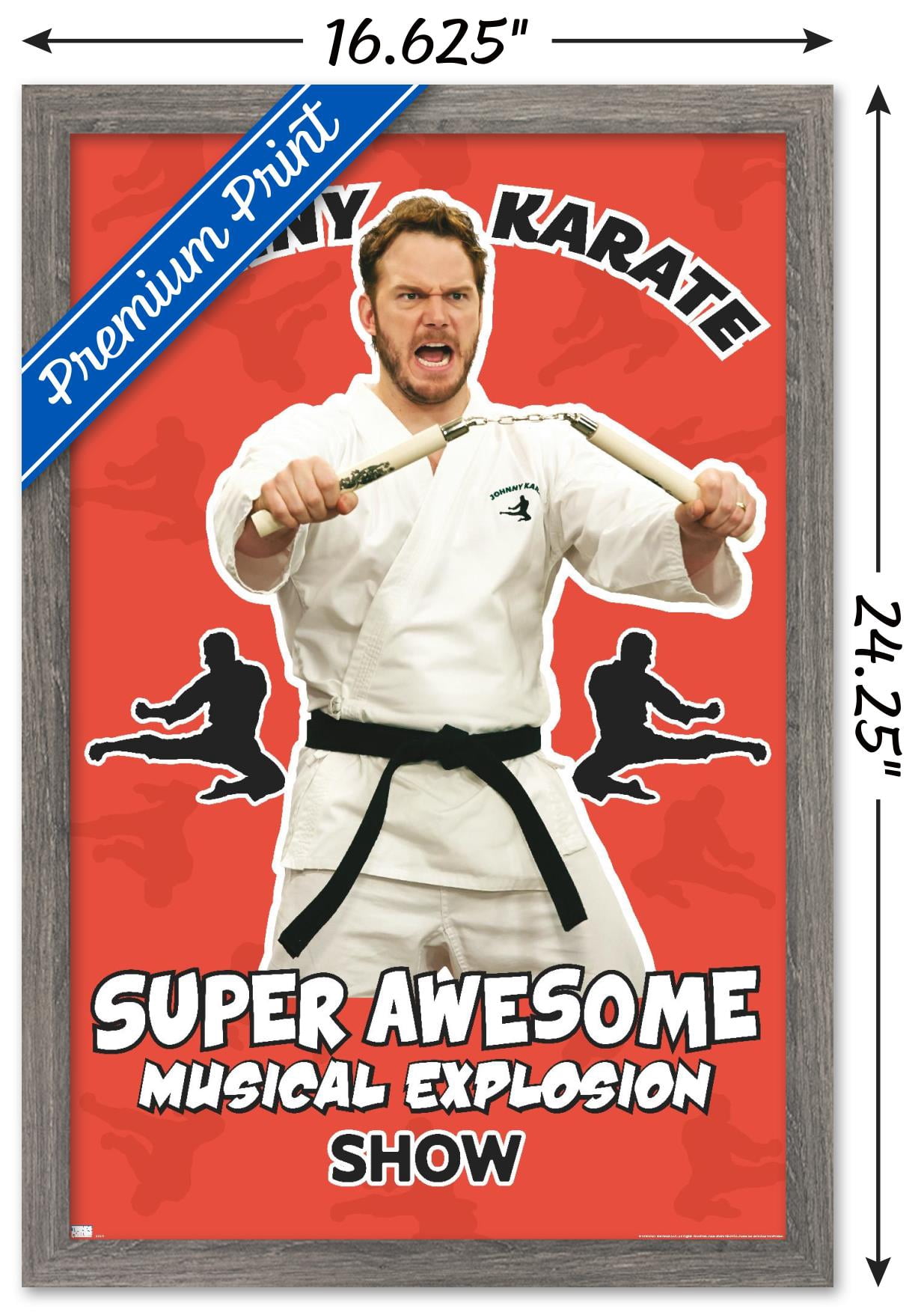 Parks and Recreation - Johnny Karate Wall Poster, 14.725" x 22.375" Framed