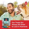 thumbnail image 3 of PLATO Pet Treats Fish Dog HYZ01 Treats - Air-Dried, Ingredient Dog Treat - with Omega 3 & 6 Fatty Acids to Support Skin and Coat - 100% Whole Fish - Wild Caught Baltic Herring Dog Treats - 3oz, 3 of 3