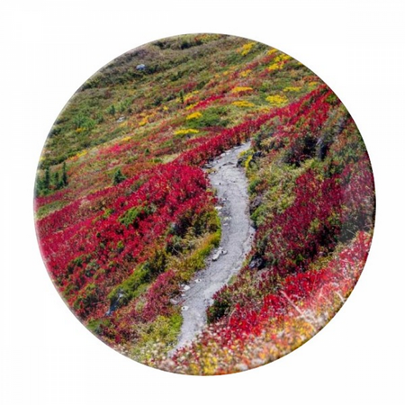 

Colorful Forestry Science Nature Scenery Plate Decorative Porcelain Salver Tableware Dinner Dish
