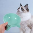 thumbnail image 4 of WEUVEB Anti-Tipping Pet Food Bowl Ceramic 1Pcs For Small Dog, 4 of 8