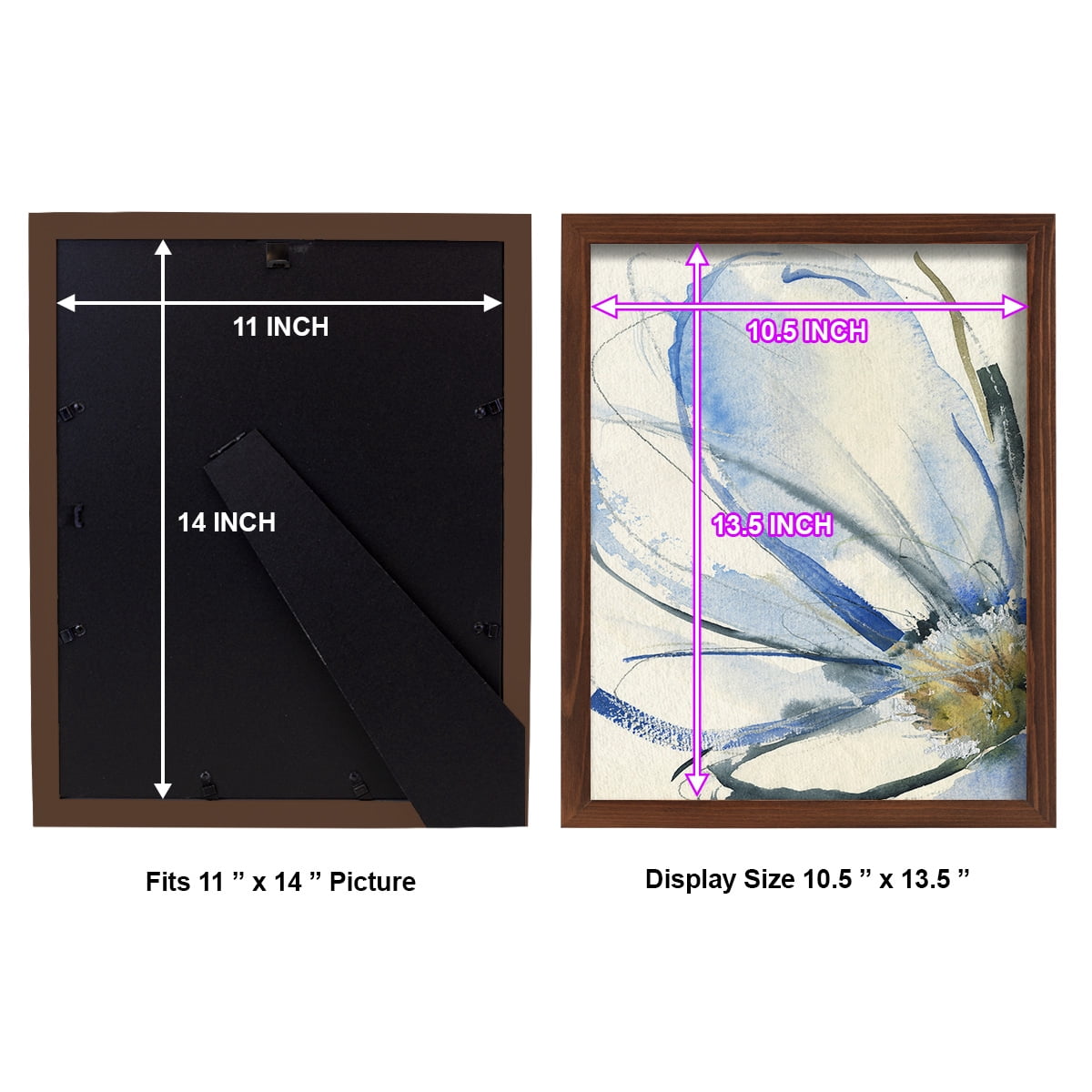 Cobalt & Paynes Petals I - Framed Print w/glass - Chestnut