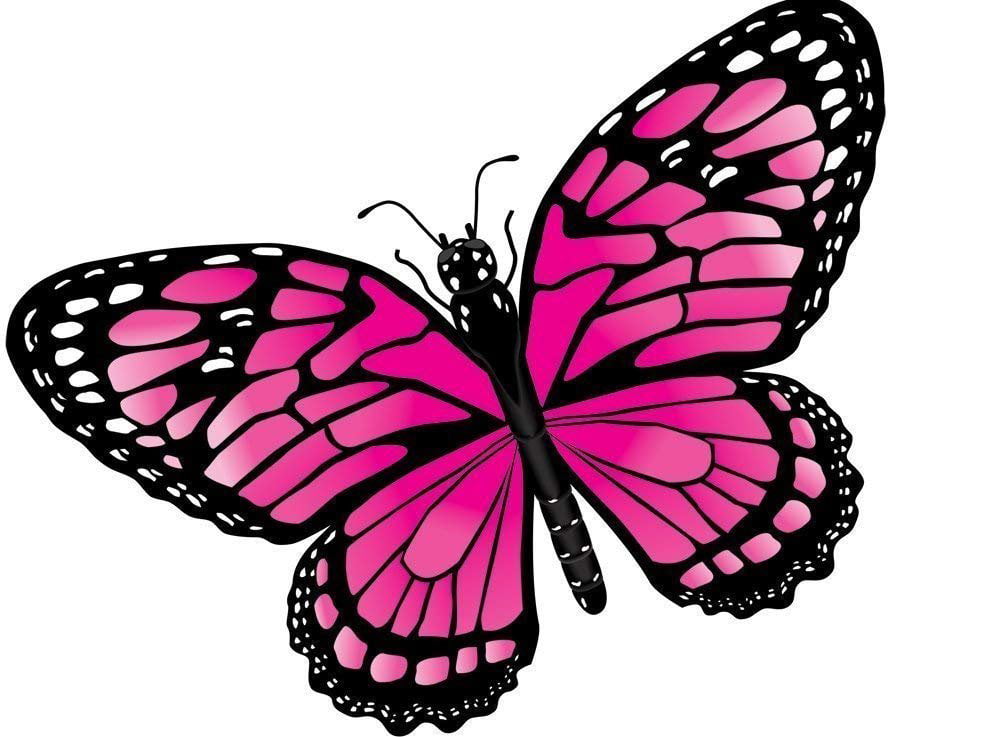 Gayla Industries 932 Pink Morpho Butterfly Wildlife Wing Flapper Kite ...