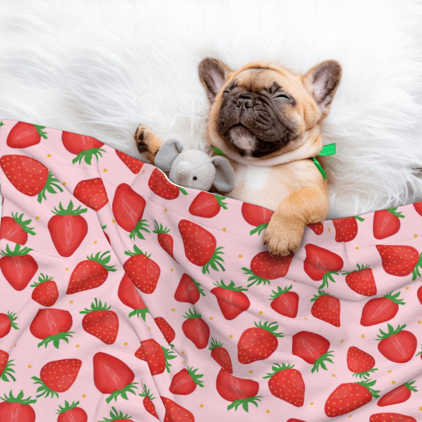 Naloa Strawberries Dog Blanket, 3 Sizes Cat Blanket for Indoor Cats Large Medium Small Dog Gifts-Large