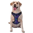 thumbnail image 1 of Balery Turtles Arnés para Perros Grandes Antitirones, Arnés con Correa para Gato, Arnés Tipo Chaleco para Perros Pequeños-Medium, 1 of 6