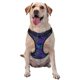 thumbnail image 1 of Fotbe Turtles Arnés para Perro con Estampado –Chaleco Ajustable Acolchado con Asa de Control para Perros Grandes-Medium, 1 of 6