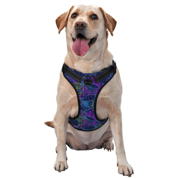 Fotbe Turtles Arnés para Perro con Estampado –Chaleco Ajustable Acolchado con Asa de Control para Perros Grandes-Medium