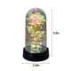 thumbnail image 3 of Rosas Galaxy XIAOLE para el Día de la Madre, rosas arcoíris eternas en cúpula de cristal, regalos para mamá, rosas infinitas para San Valentín, flores artificiales para el Día de la Madre, 3 of 8