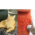 thumbnail image 4 of Ruban Anti-Rayures pour Chat Chien Protection de Porte de Canapé Autocollant Jau, 4 of 4