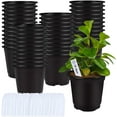thumbnail image 1 of czcpp-75 Pcs 0.5 Gallon Black Plastic Plant Nursery Garden Pots 6 Inches Seed Starting Pots Containers with 100 Labels, 1 of 4