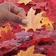 thumbnail image 7 of 264pc Foam and Polysilk Pumpkins/Gourds/Leaves Set - for Fall Decor - Factory Direct Craft, 7 of 7