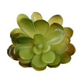 thumbnail image 1 of 10 piezas de suculentas falsas Ounissouiy pequeñas decorativas prácticas, 1 of 6