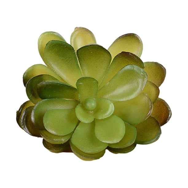 Mini Plantas Simuladas Matsuzay 10 Piezas Suculentas Flores Artificiales Tipo 39