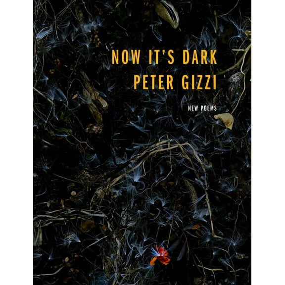 Wesleyan Poetry Now It's Dark, (Paperback)