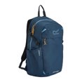 thumbnail image 3 of Regatta Prism Logo 25L Backpack, 3 of 4