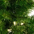 thumbnail image 5 of Kurt Adler Indoor 3-Foot Pre Lit Artificial Pine Half Christmas Tree, 5 of 8