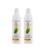 Matrix Biolage SmoothTherapie Deep Smoothing Shampoo, 16.9 oz (Pack of 2)