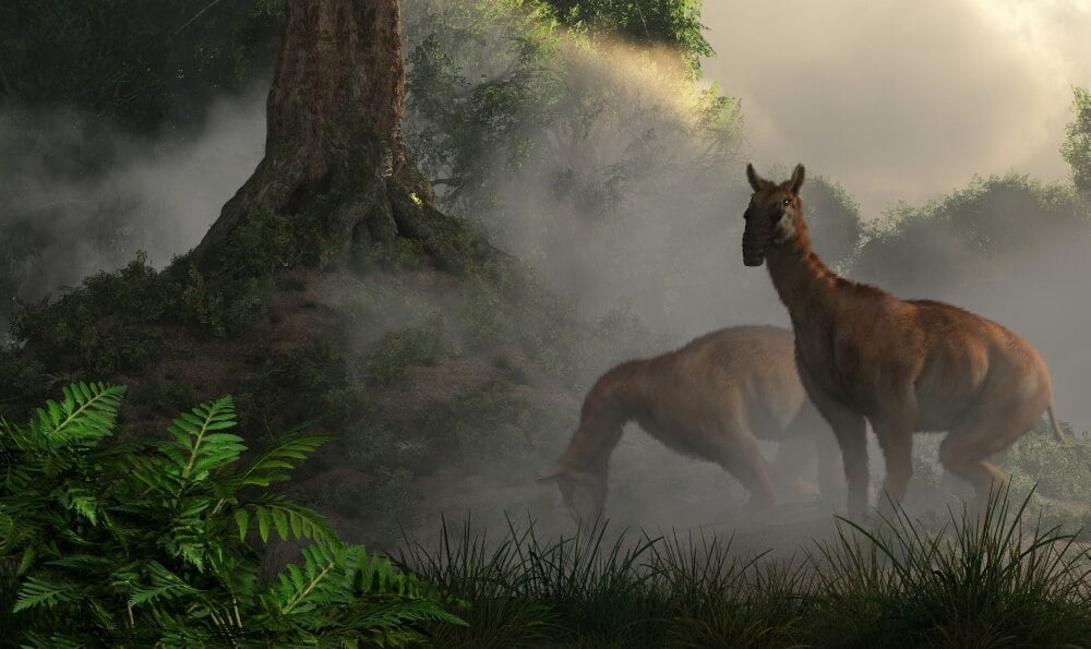 prehistoric forest