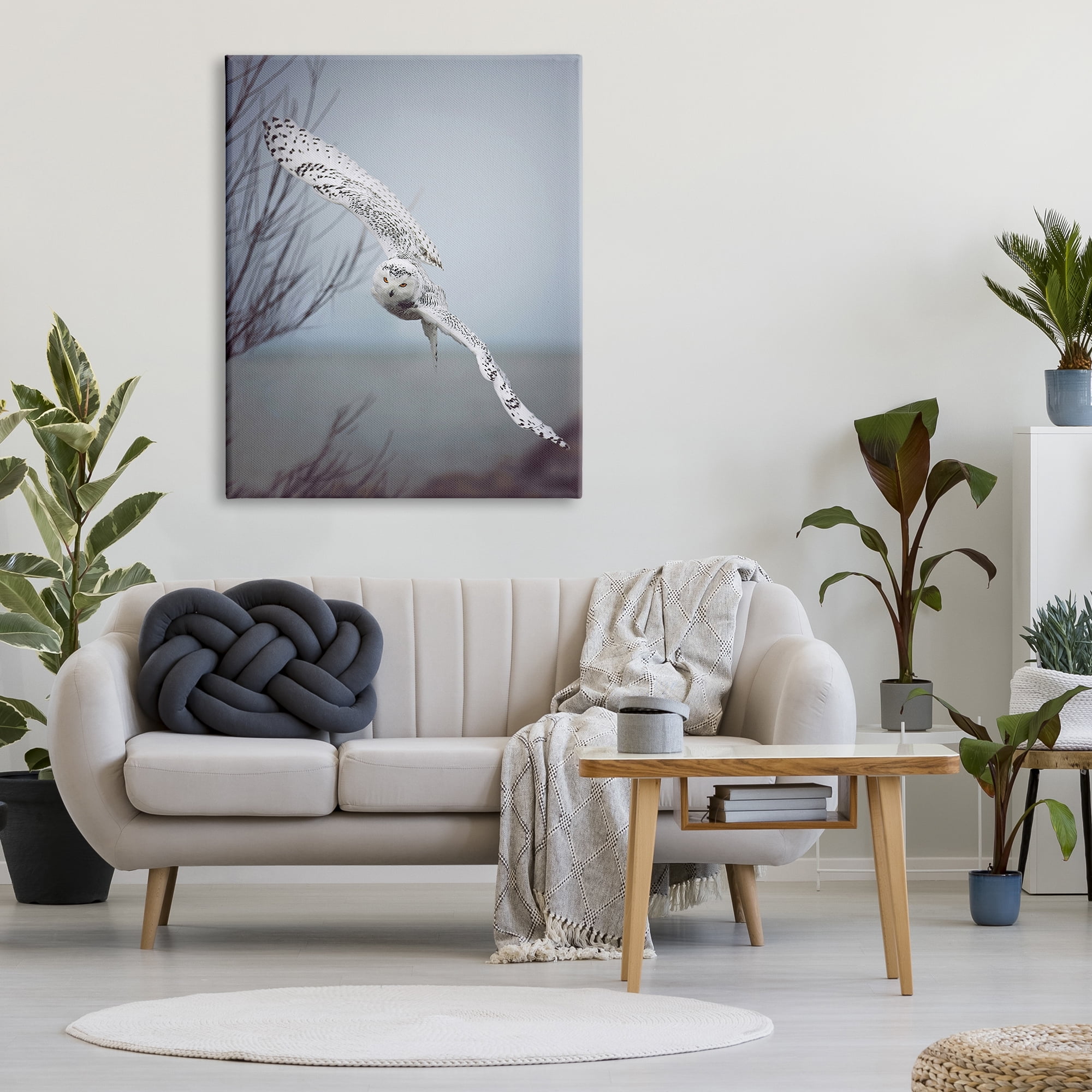 Stupell Industries Majestic Snowy Owl Flying Wingspan Wildlife Photography Photograph Gallery Wrapped Canvas Print Wall Art, Design by Carrie Ann Grippo-Pike