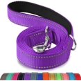 thumbnail image 1 of LAICAIW Double-Sided Reflective Dog Leash, 6 FT/5 FT/4 FT, Padded Handle Nylon Dogs Leashes for Medium & Large Dogs Walking, Purple, 4FT, 1 of 7
