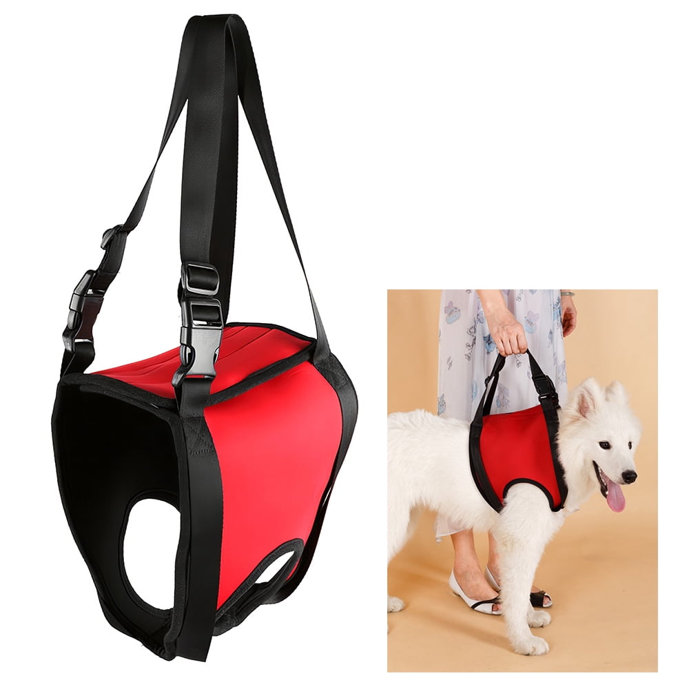 small dog lift harness