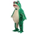 thumbnail image 4 of Disfraz Inflable Rana Yuyangstore Traje de Cuerpo Completo Carnaval L, 4 of 8